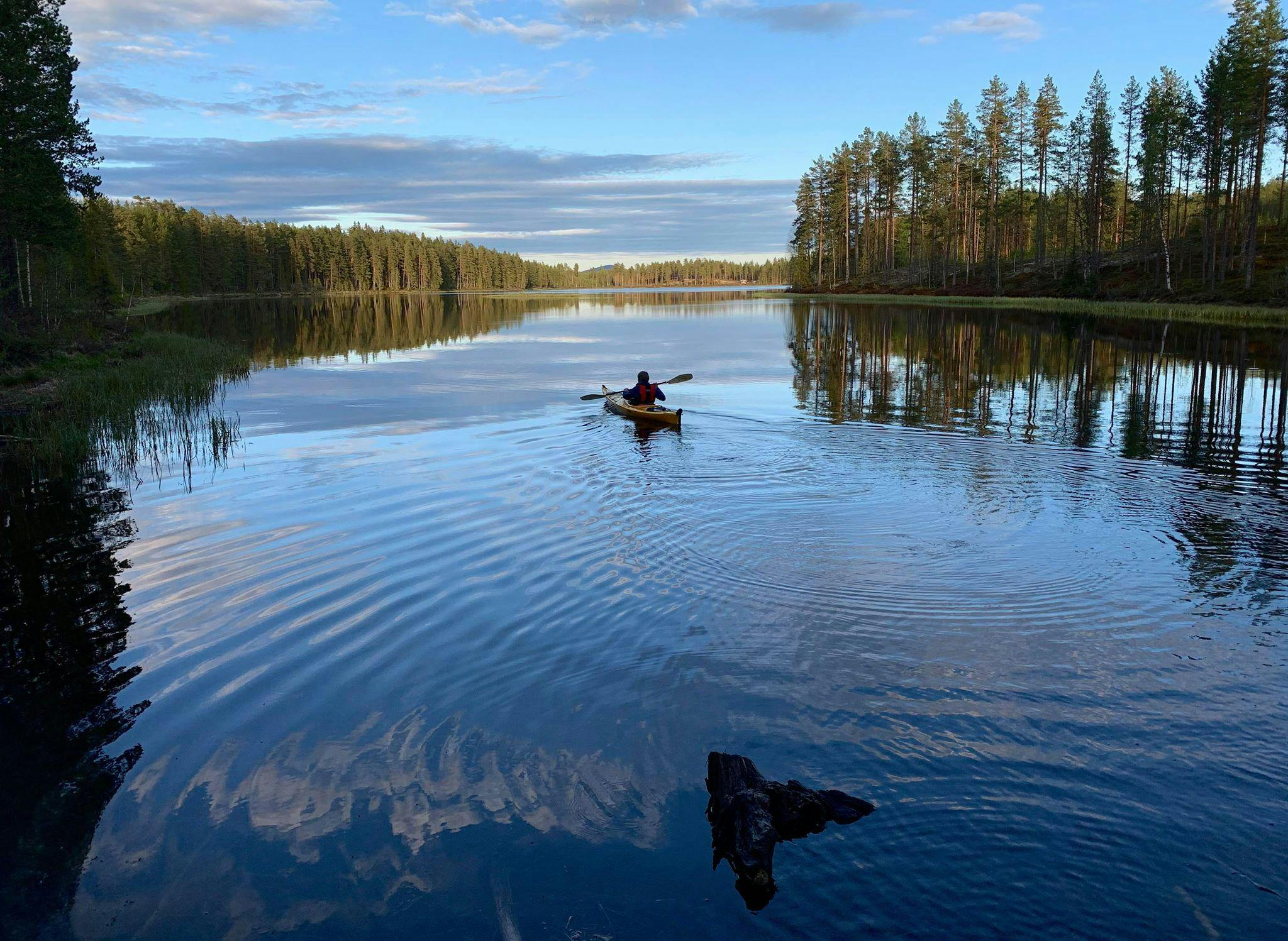 104219758 3256890214341793 5623137343195655601 n